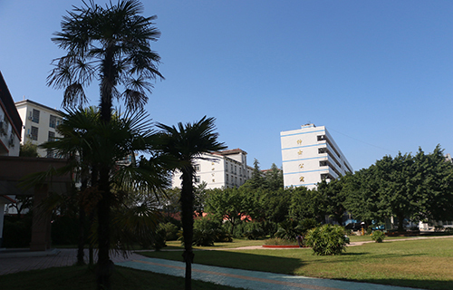 三穗县桐林镇桐林中学