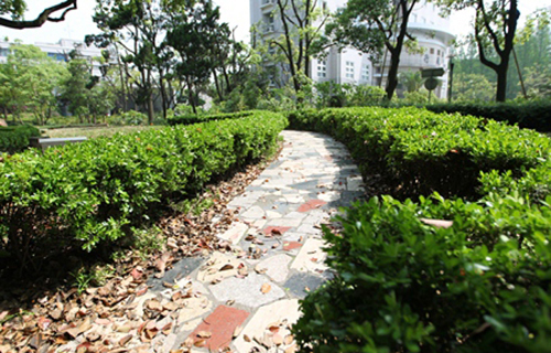 新洲区旧街街道办事处利河中学