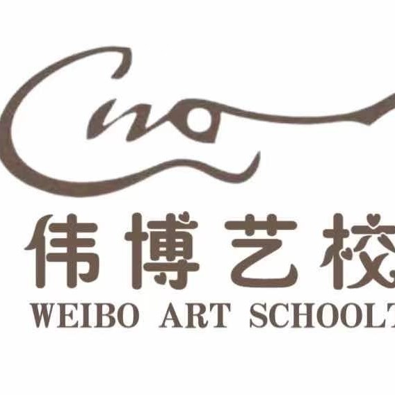 兴文县伟博艺术培训学校有限公司
