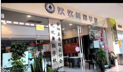 宜阳县欢欢艺术培训有限公司