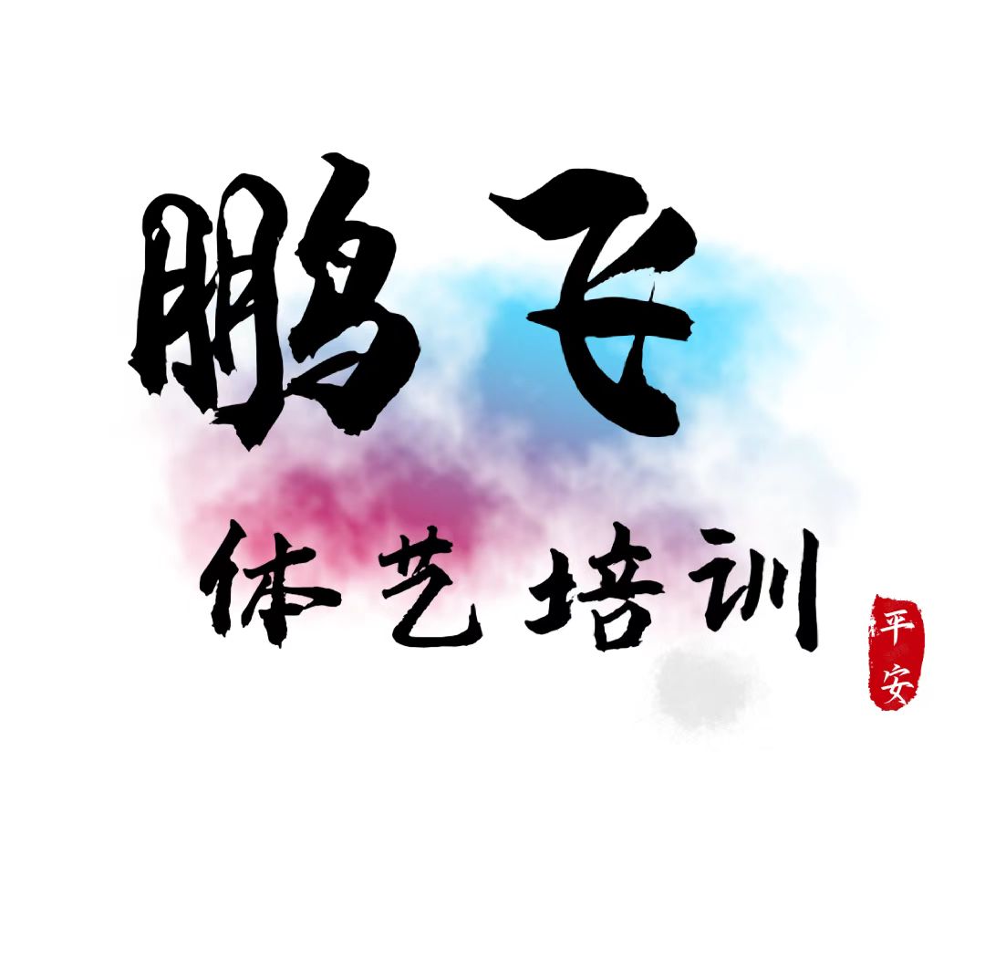 青海朋飞体艺培训有限公司