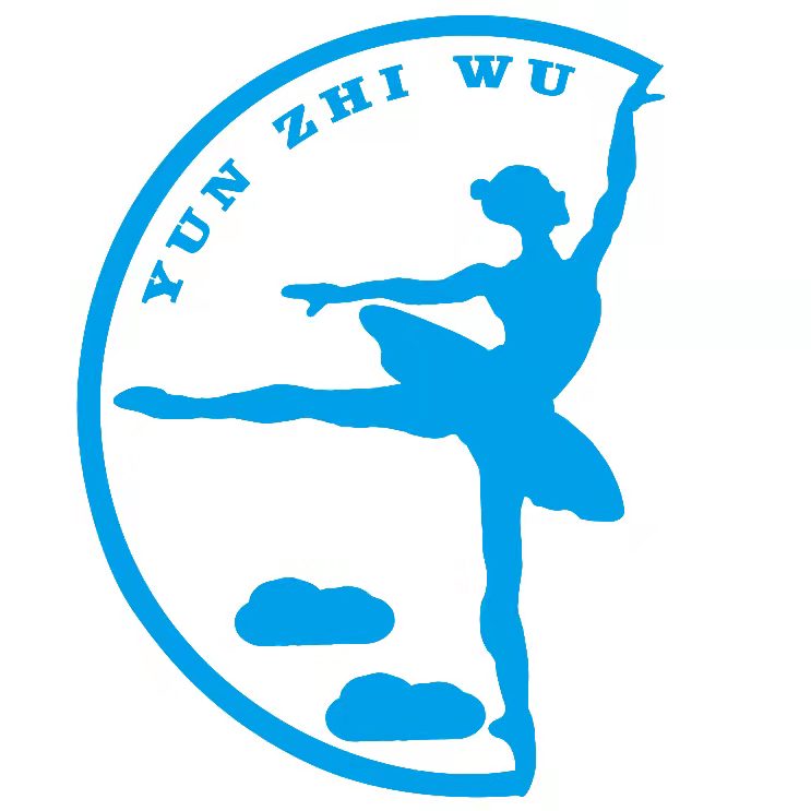 清镇市芸之舞艺术培训有限公司