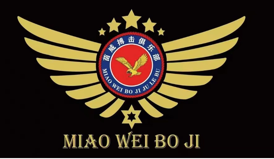 泗县猎鹰搏击培训有限公司泗城分公司