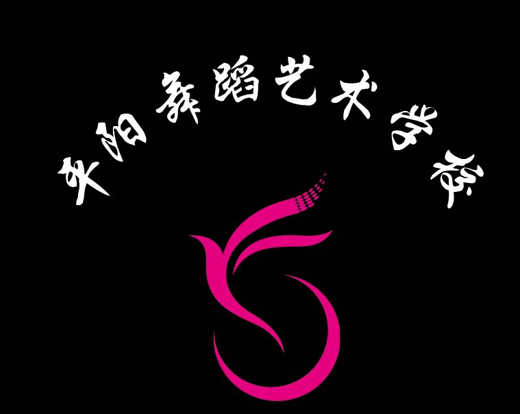 新泰市平阳舞蹈艺术培训学校有限公司