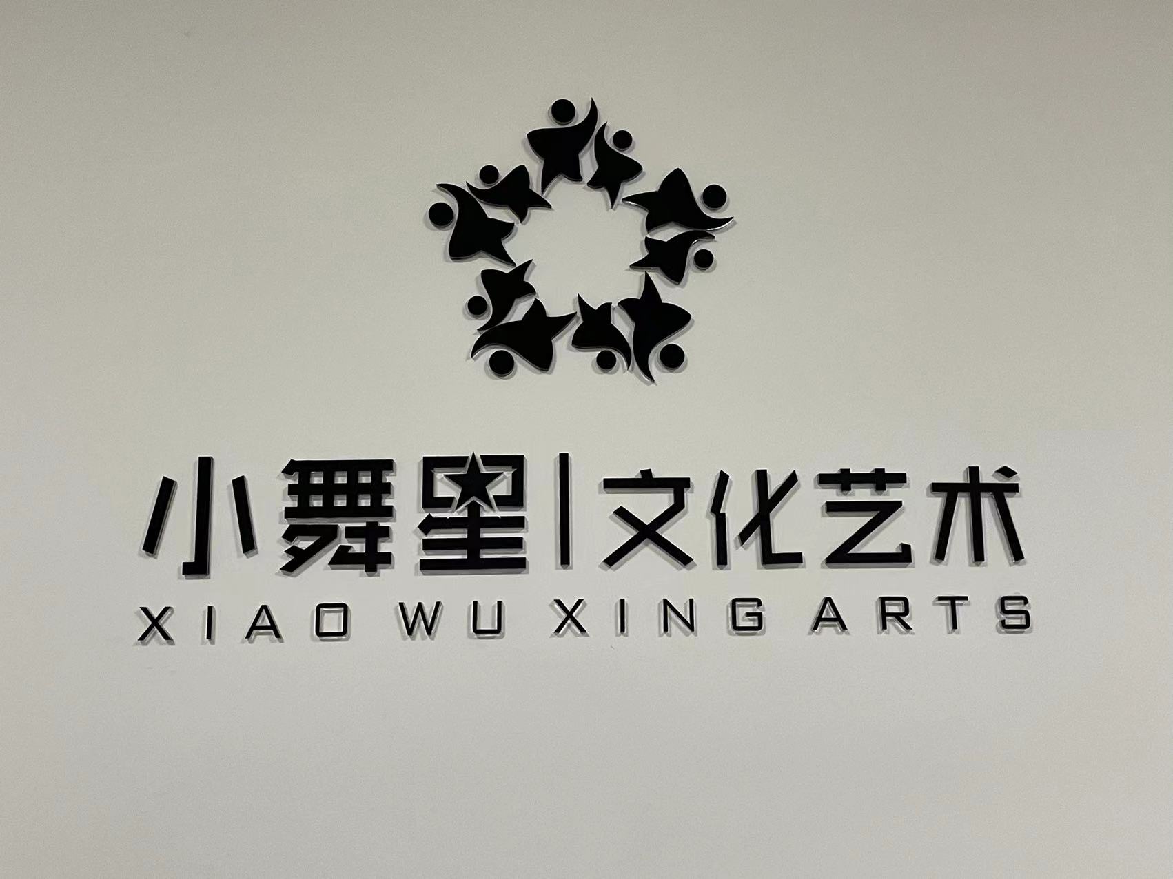 蒙山县小舞星舞蹈艺术传媒有限公司