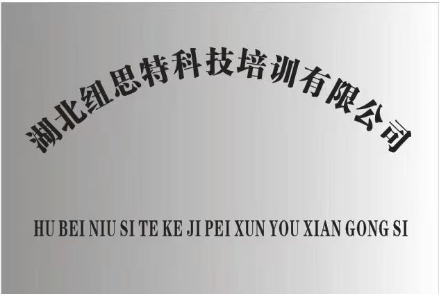 湖北纽思特科技培训有限公司