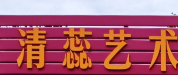 中山市清蕊艺术培训中心有限公司