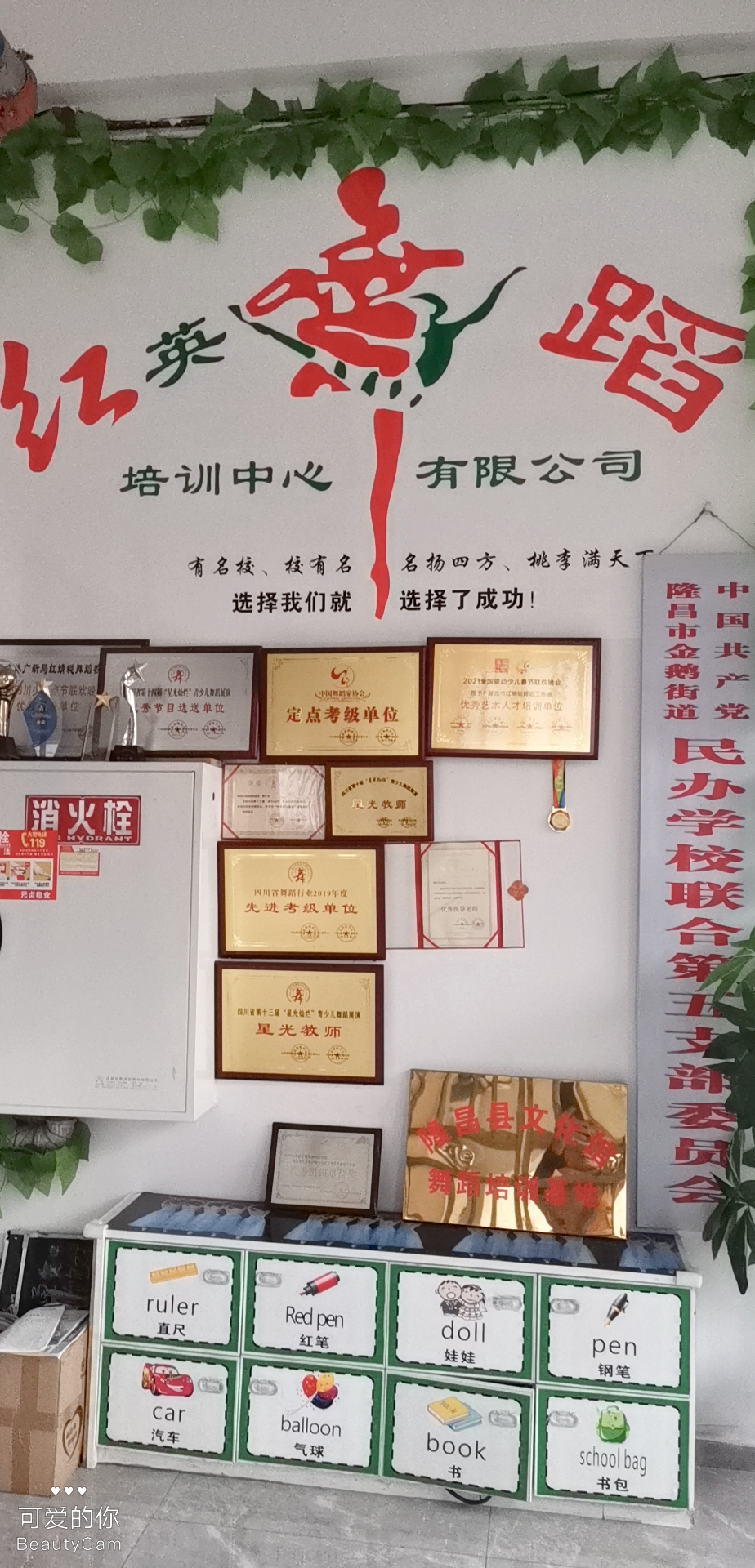 隆昌市红英舞蹈培训中心有限公司