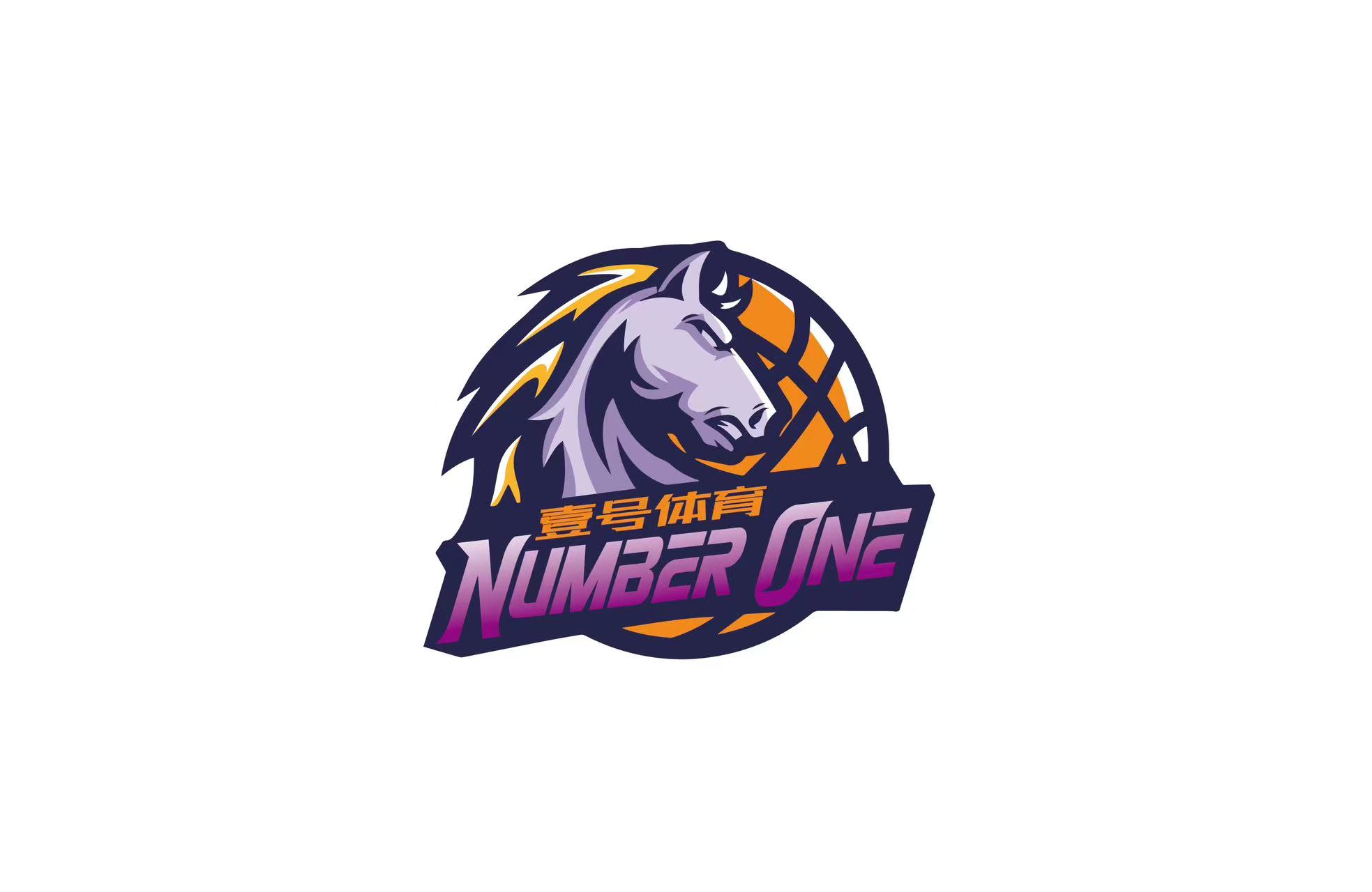 内蒙古乌兰察布集宁区壹号体育培训有限公司