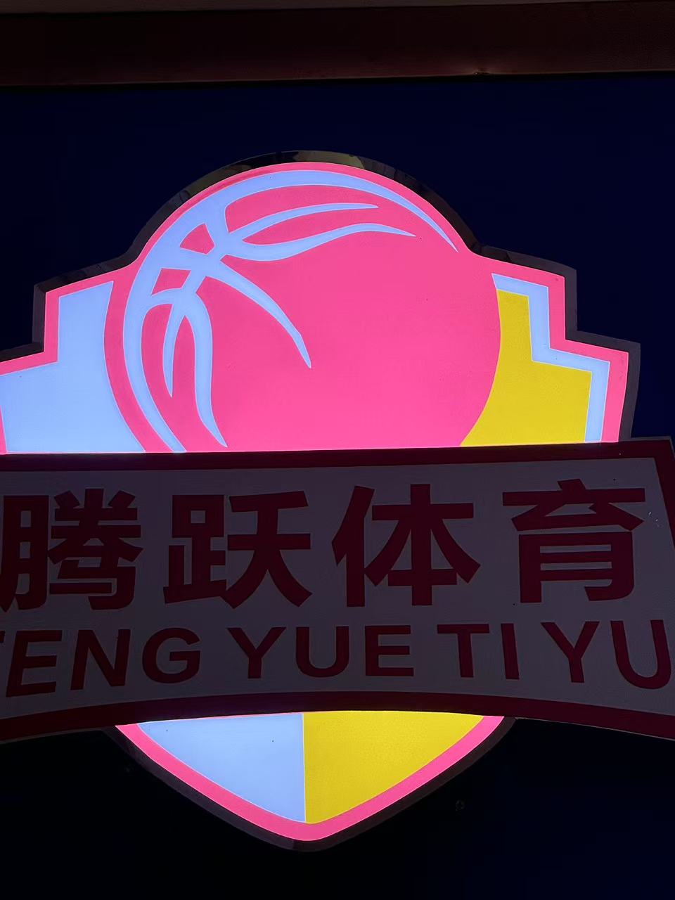 丰城市腾跃体育培训有限公司