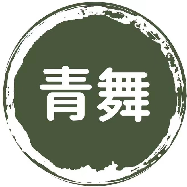 灵宝市青舞舞蹈培训有限公司