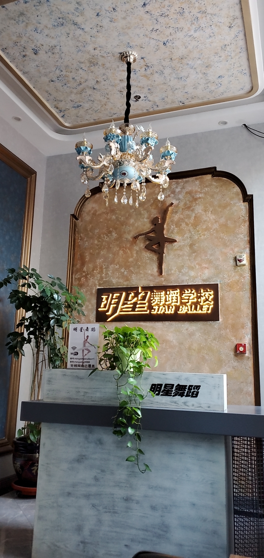 鞍山市铁东区明星舞蹈教育培训学校有限公司