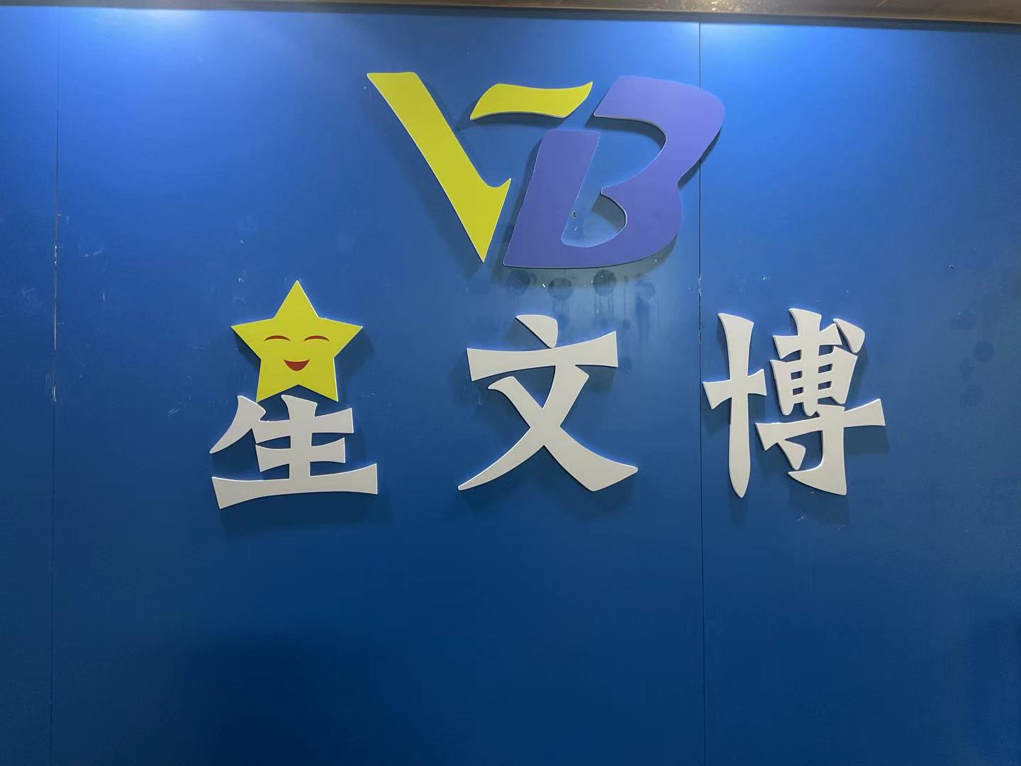 惠州市大亚湾区星文博艺术培训中心有限公司
