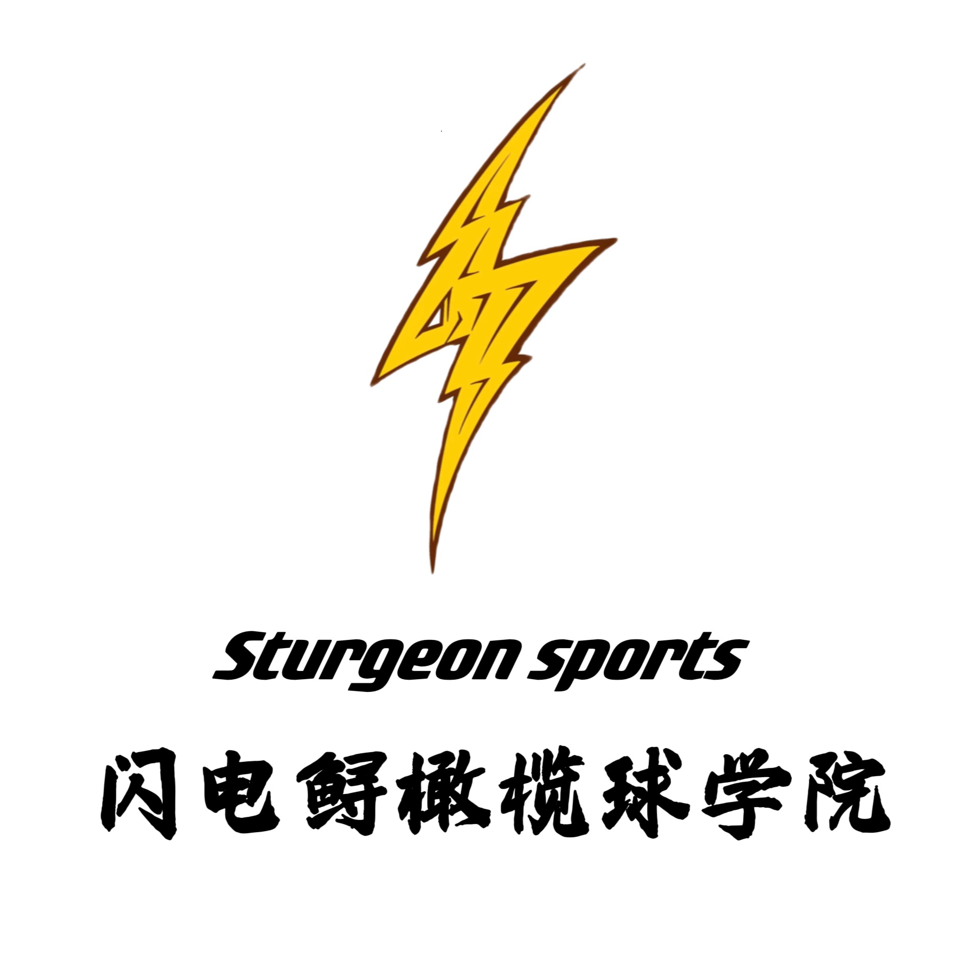 宜昌闪电鲟体育培训有限公司