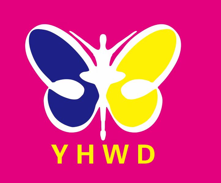 新乡县艺菡舞蹈培训有限公司