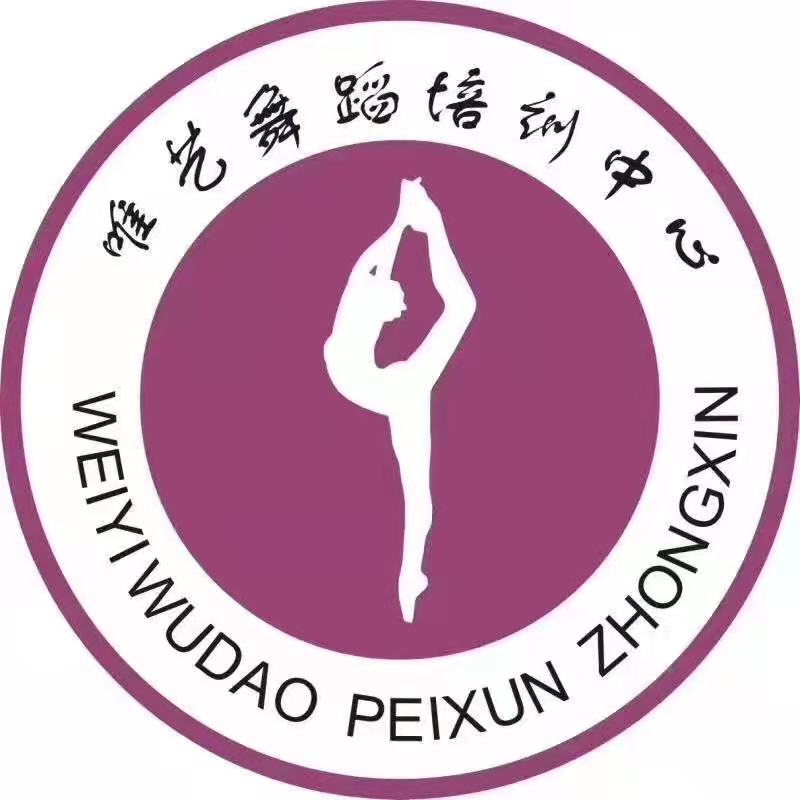 忻城县唯艺艺术培训有限公司