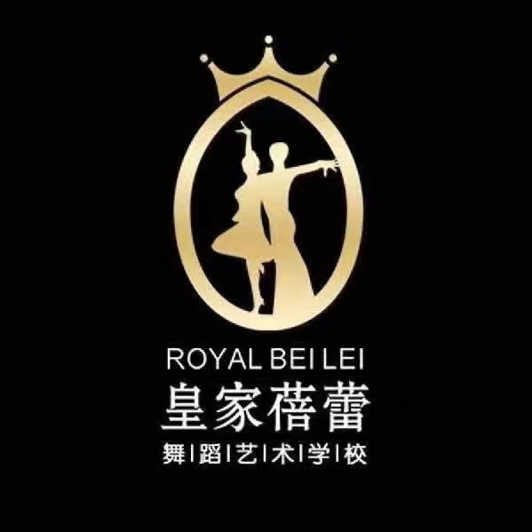 禹州市星蓓艺术培训有限公司