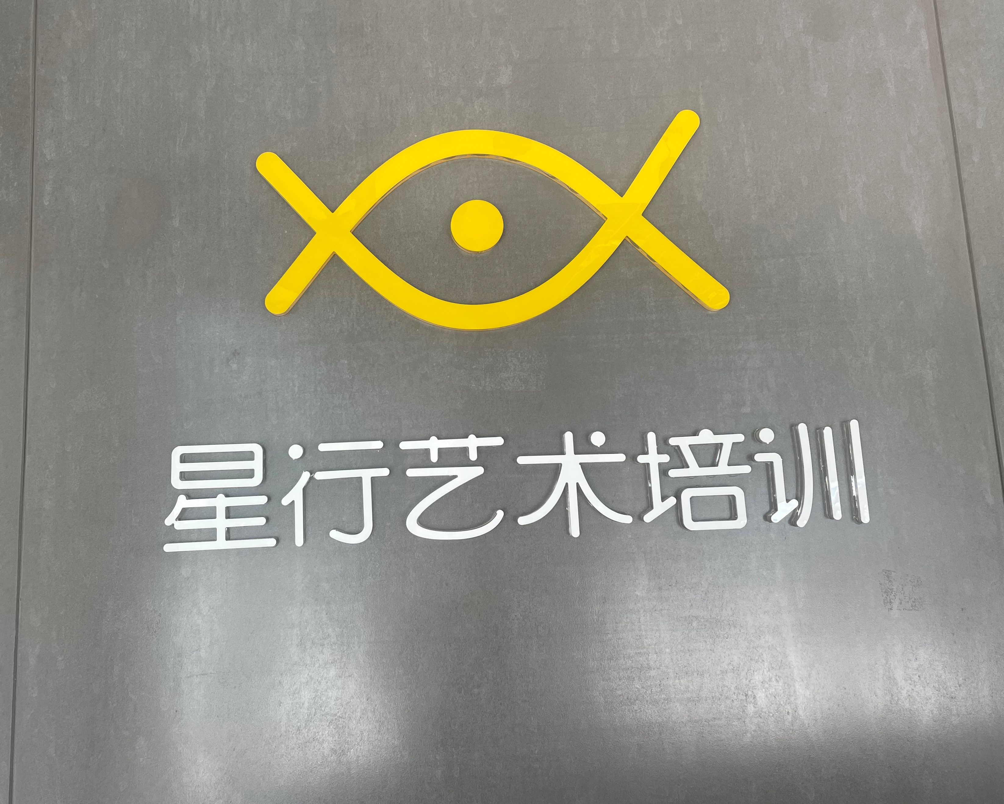 大理市星行艺术培训学校有限责任公司