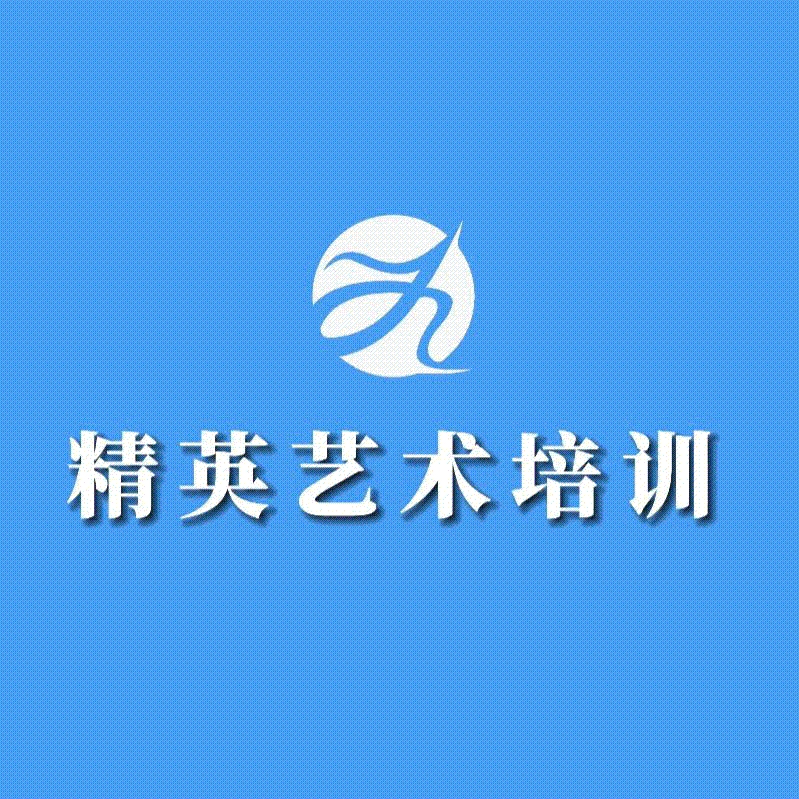 宜昌市点军区精英艺术培训有限公司