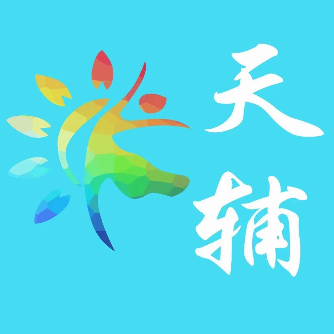 叶城县天辅艺术培训有限公司第一分公司