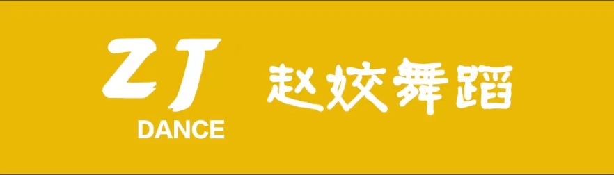 沈丘县赵姣艺术文化中心有限公司