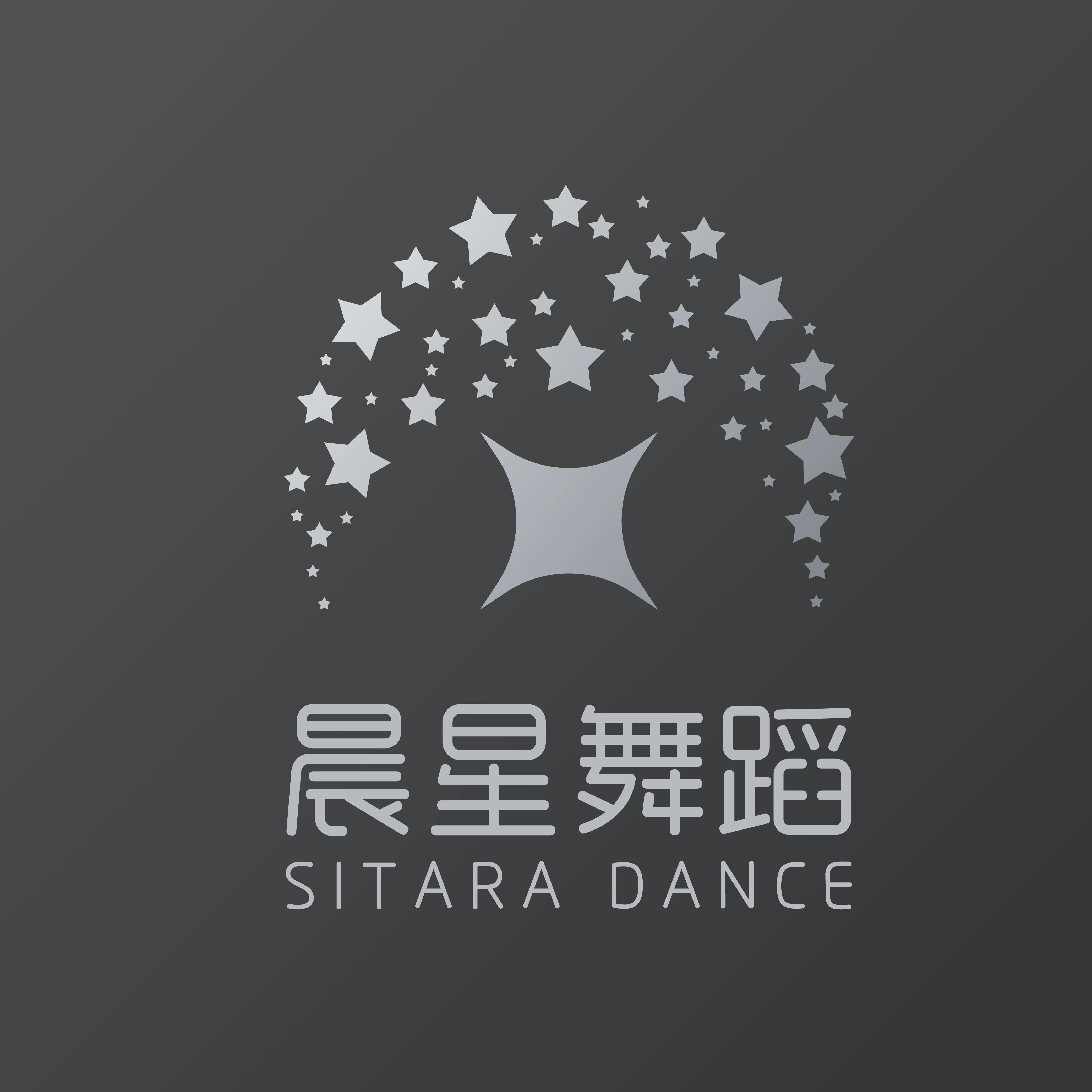 怀化市鹤城区晨星艺术培训学校有限公司