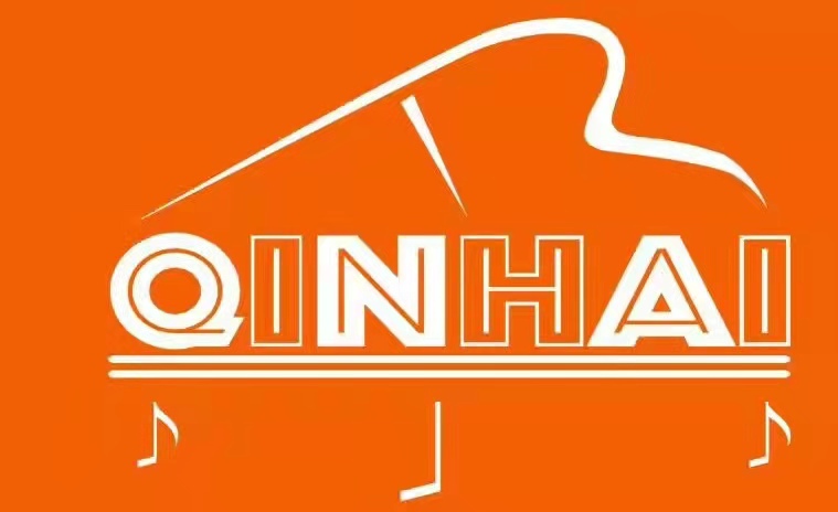 眉山市东坡区海琴五音筝坊艺术培训学校有限公司