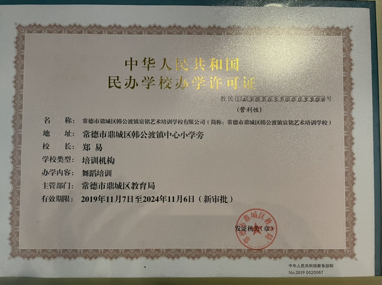 常德市鼎城区韩公渡镇宸铭艺术培训学校有限公司