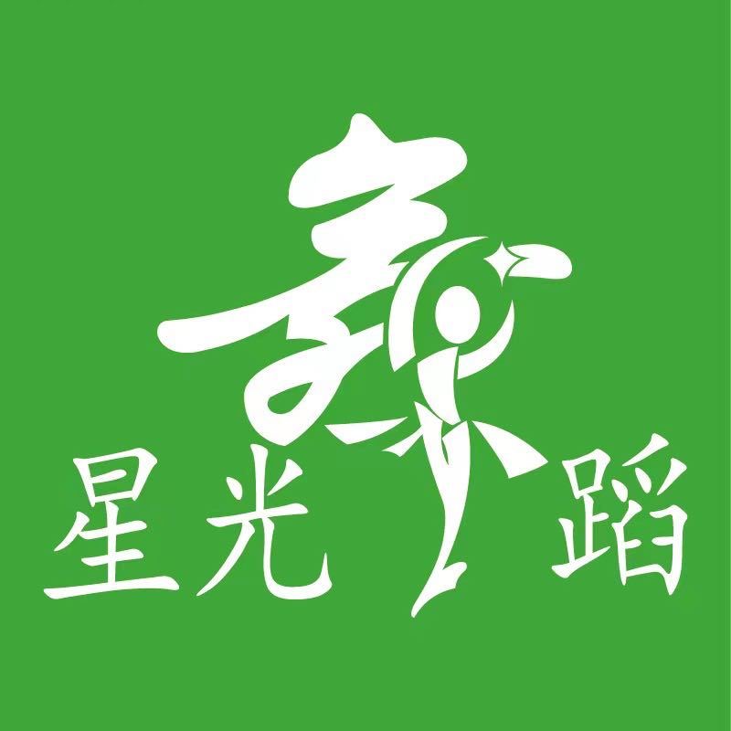 如东星枫少儿艺术培训有限公司