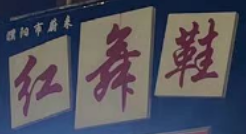 濮阳市蔚来红舞鞋舞蹈培训有限公司