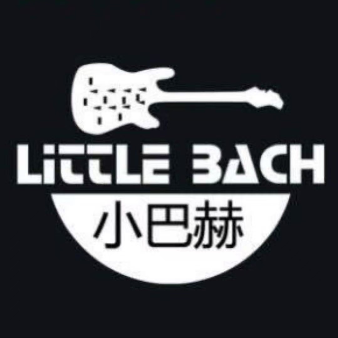 东丰县小巴赫艺术培训有限公司