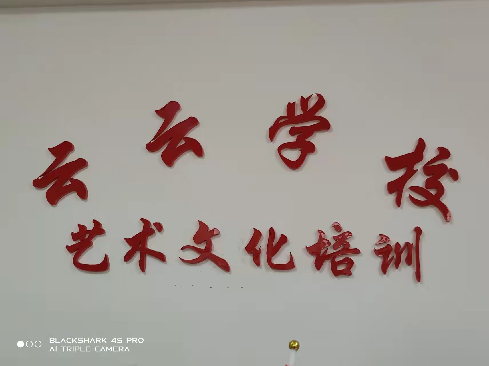 大连金普新区云云文化培训学校有限公司