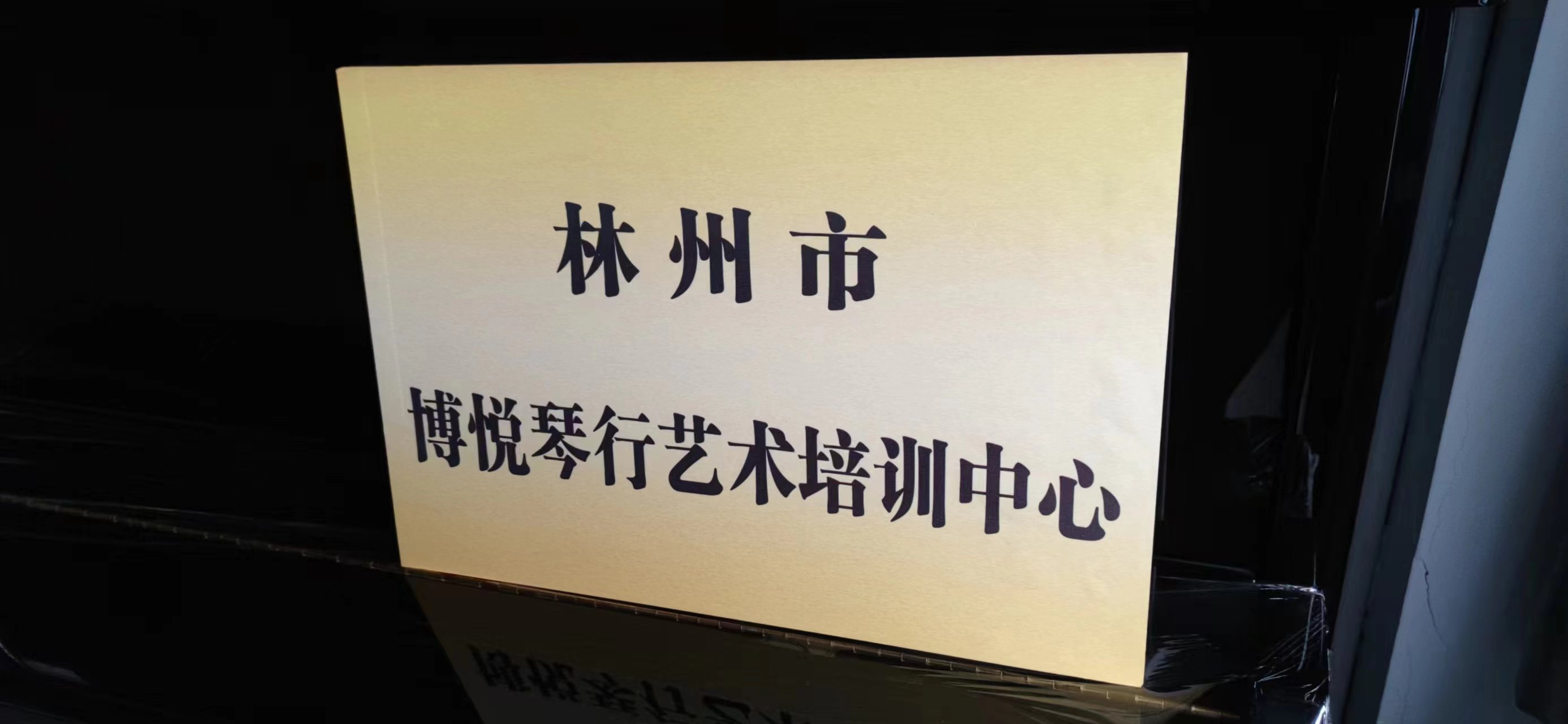 林州市博悦琴行艺术培训中心