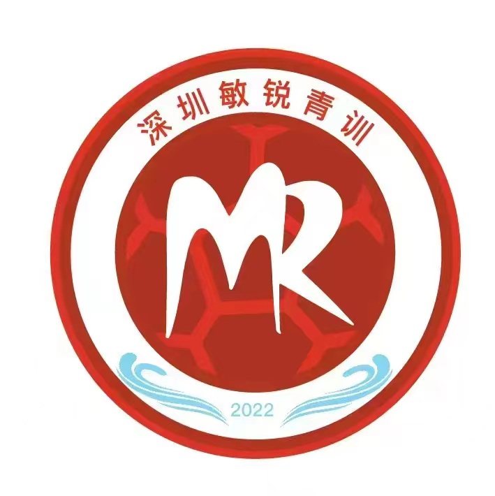 深圳市盐田区敏锐青训文体培训中心有限公司