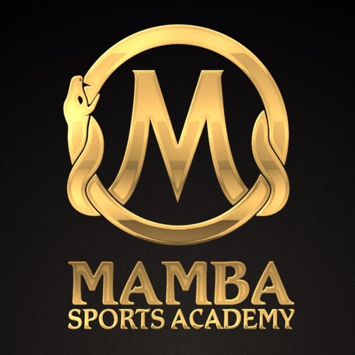 东台市曼巴体育培训有限公司