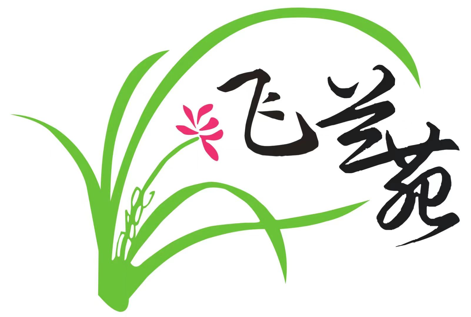 郑州市二七区飞兰苑书法培训有限公司