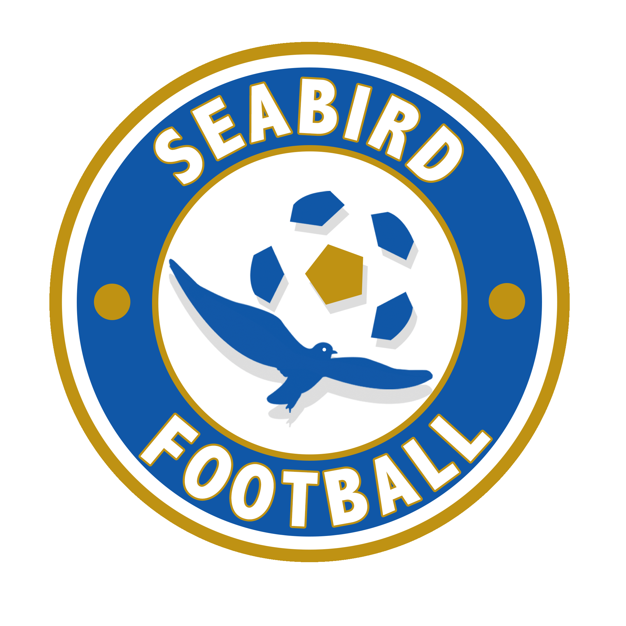 衢州海鸟体育培训有限公司