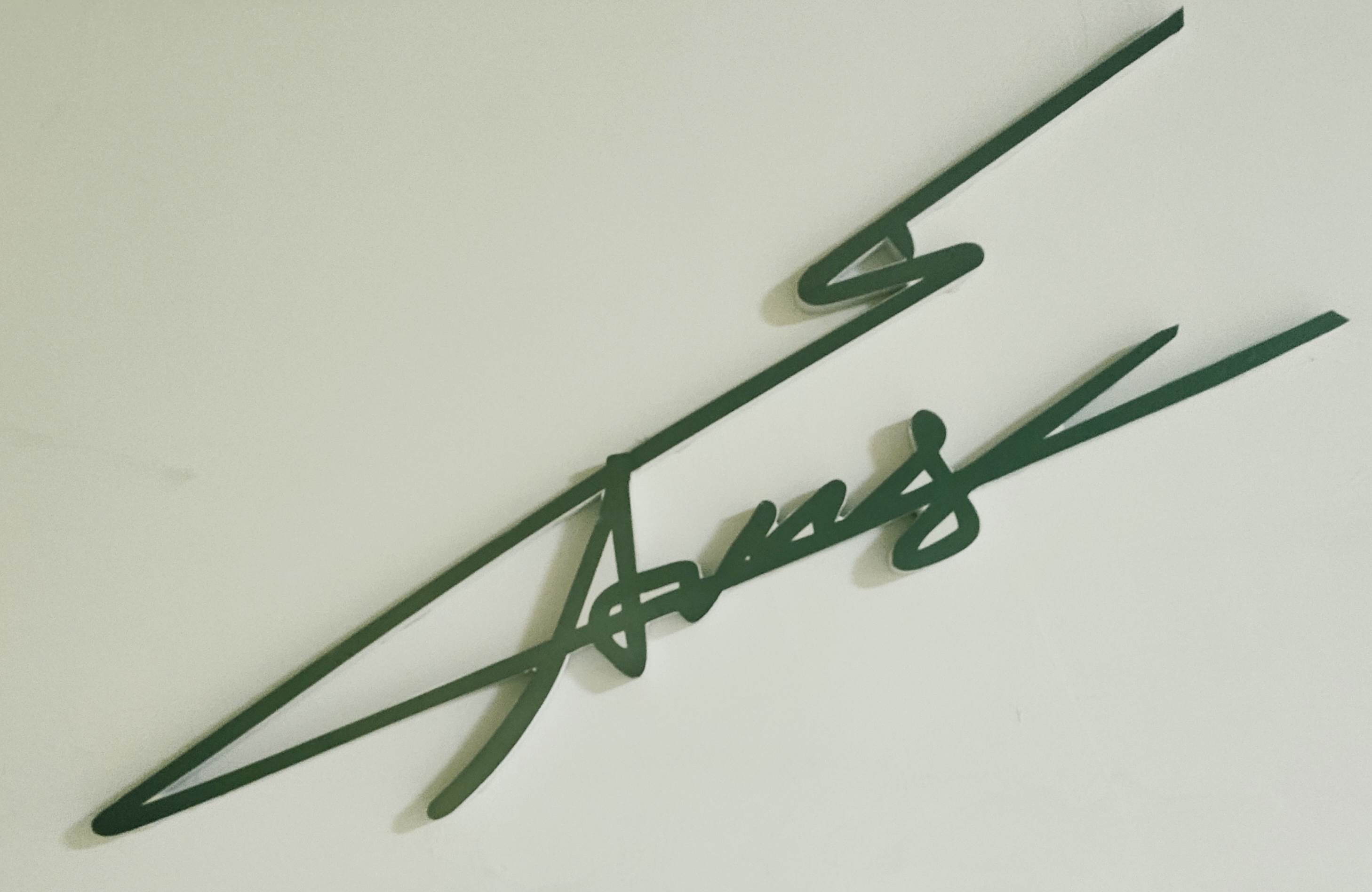 房县绿林画室艺术培训有限公司