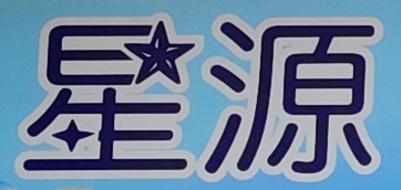 和平县星源艺术培训有限公司