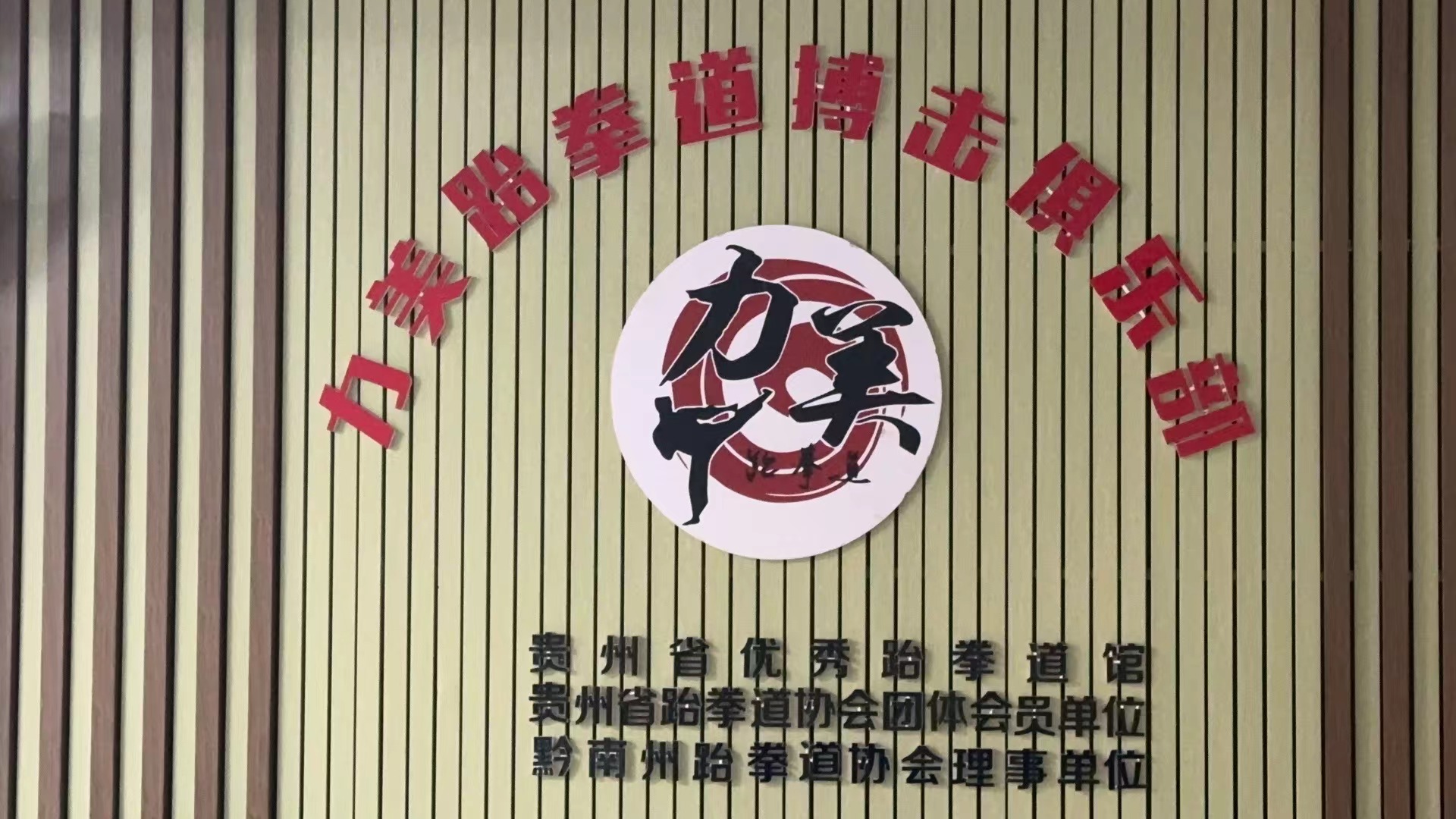 龙里县力美俊丞跆拳道培训学校有限公司