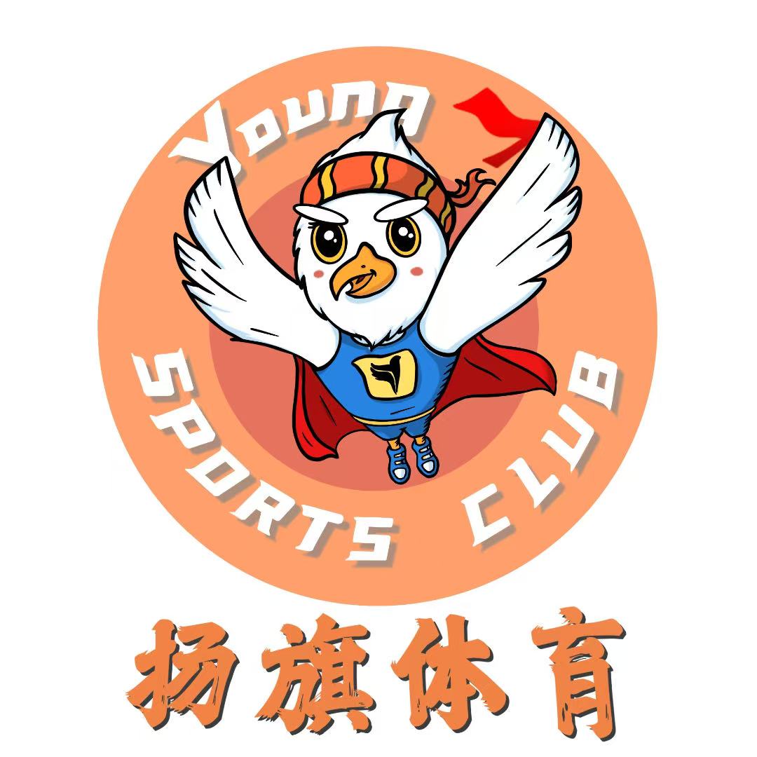 南京扬旗体育文化有限公司