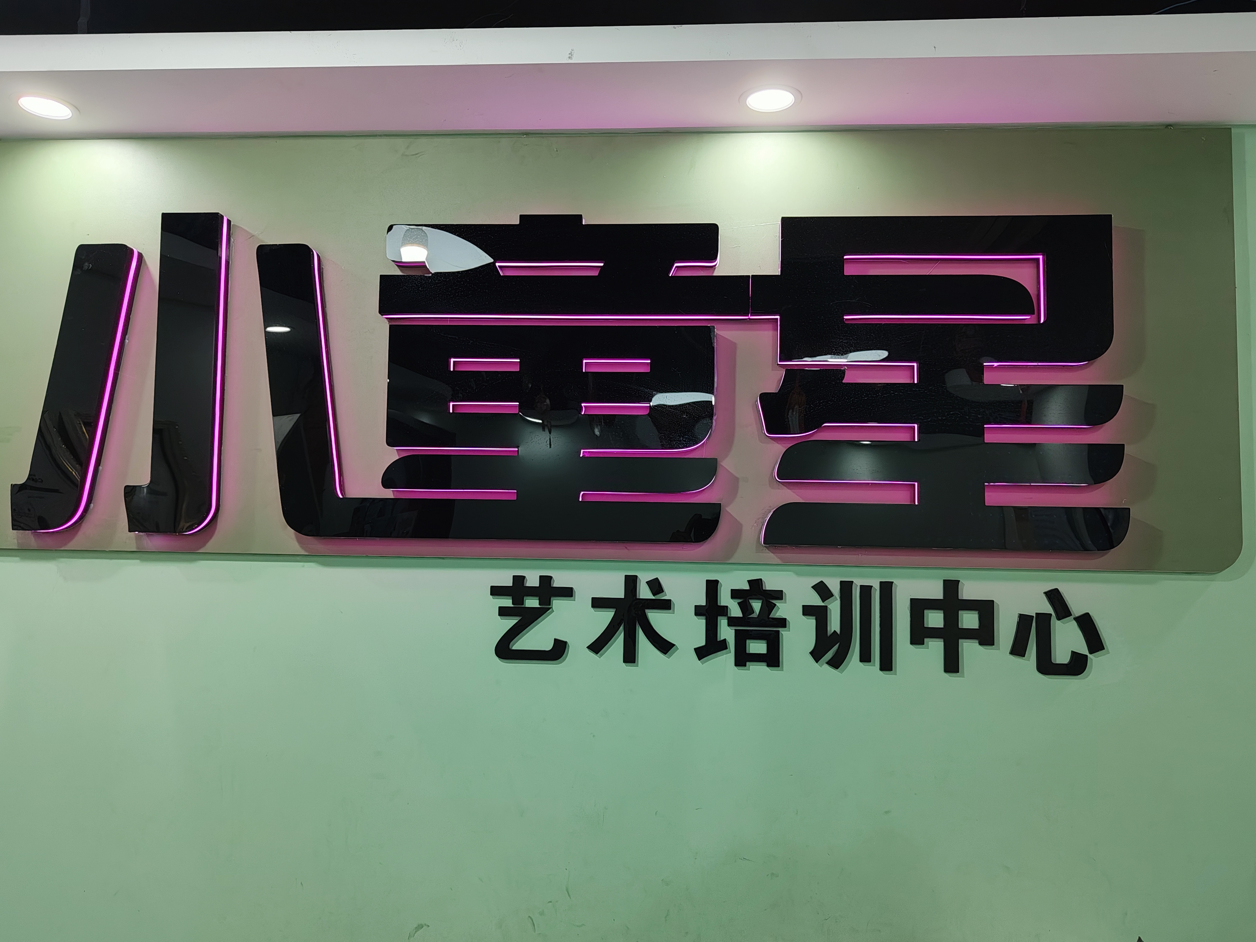 缙云县星睿艺术培训有限公司