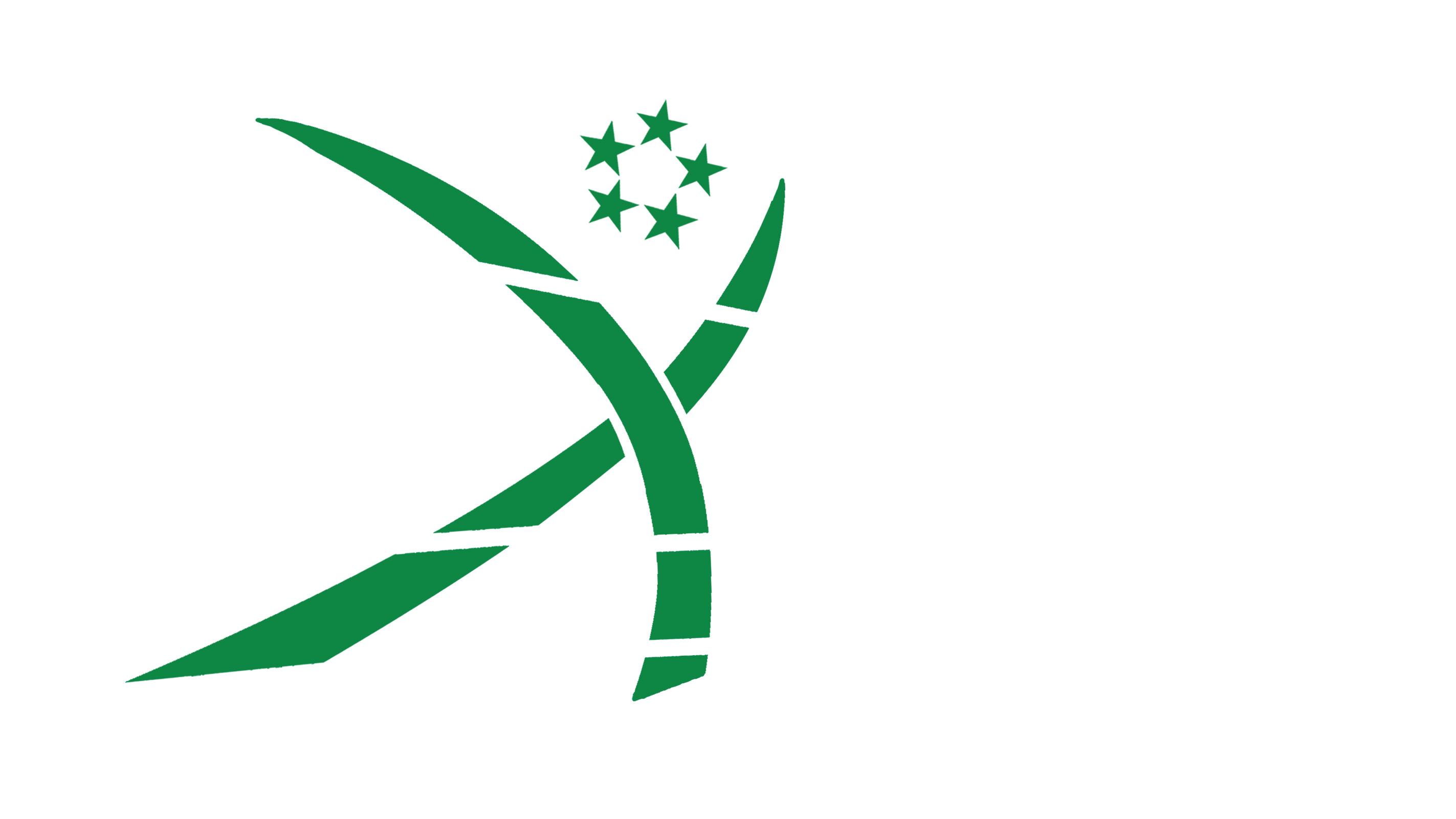 崇阳县星耀体育培训有限公司