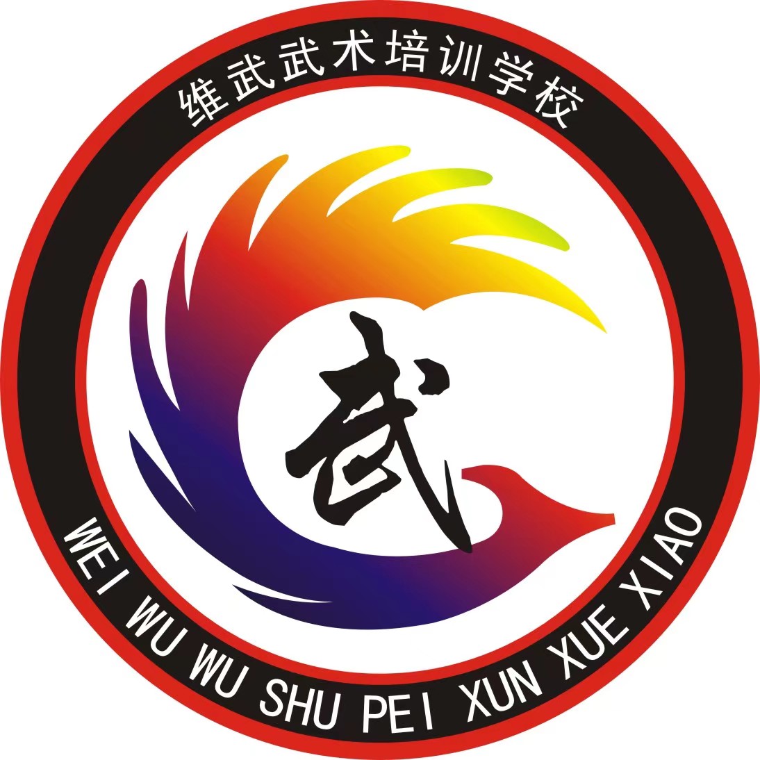 衡阳维武武术培训学校有限公司