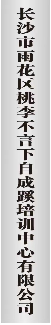 长沙市雨花区桃李不言下自成蹊培训中心有限公司