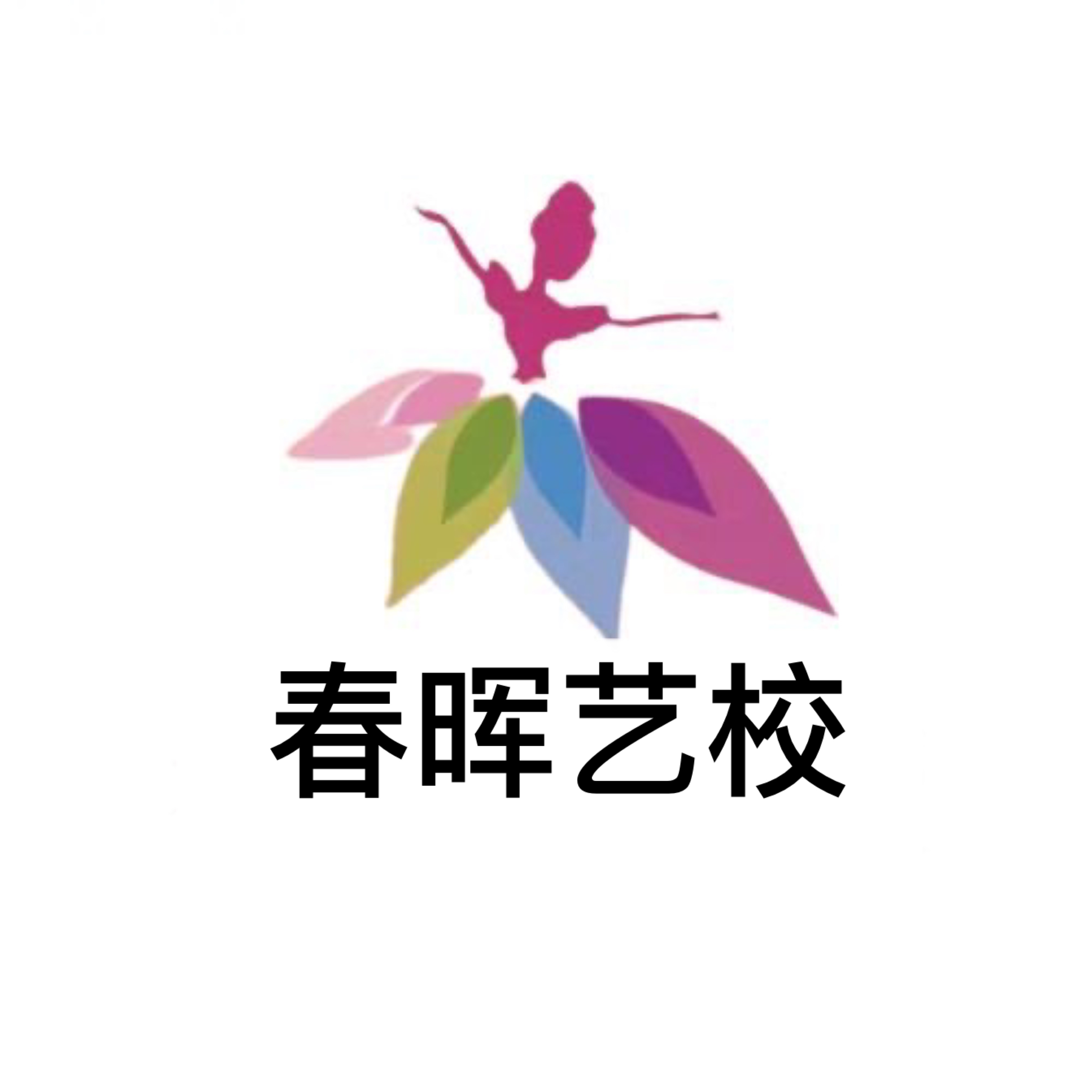淄博春晖艺术培训学校有限公司