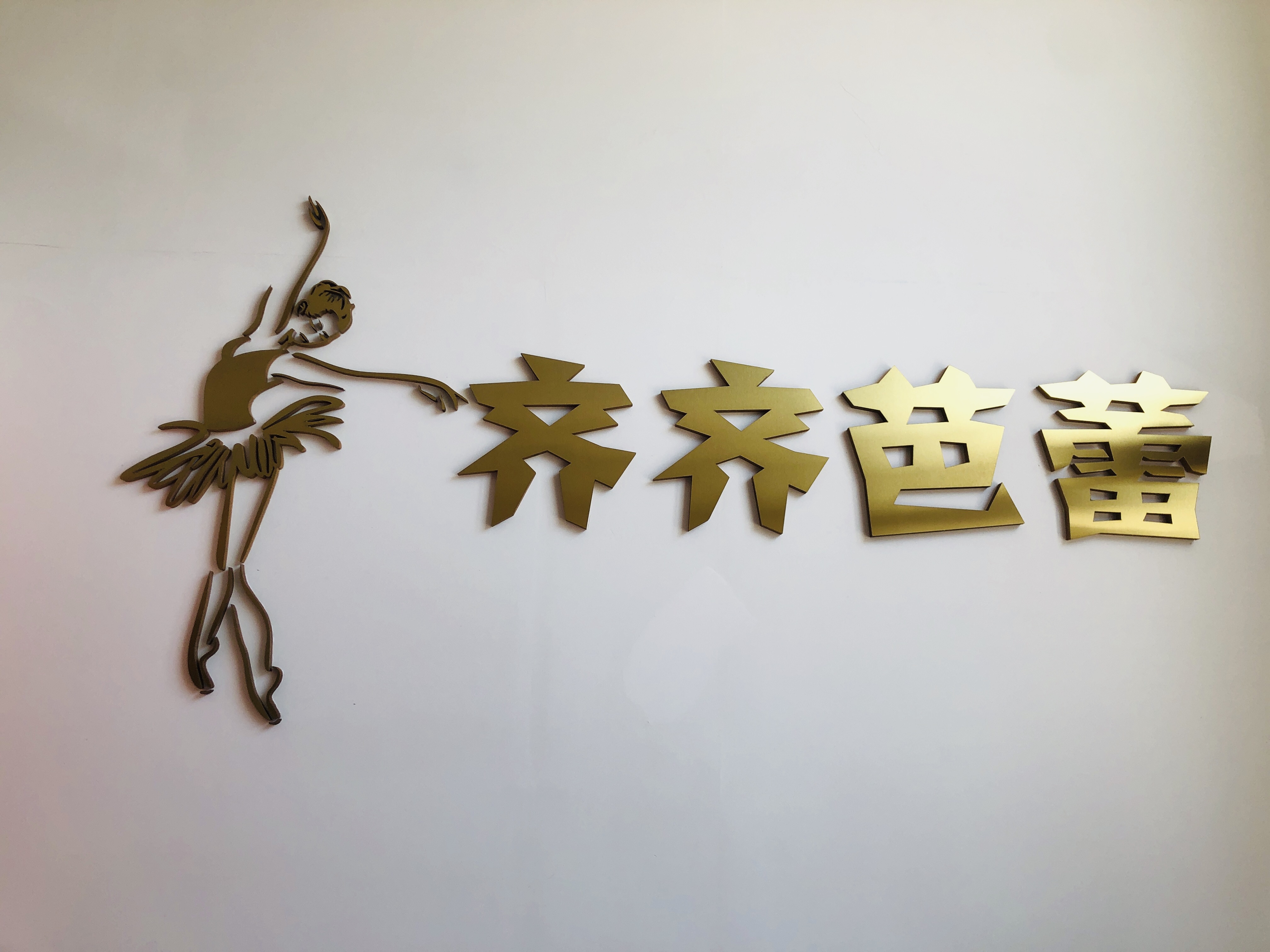 齐齐舞蹈艺术培训中心有限公司