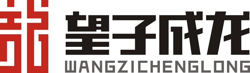 成都市双流区望子成龙龙翼文化艺术培训学校有限公司