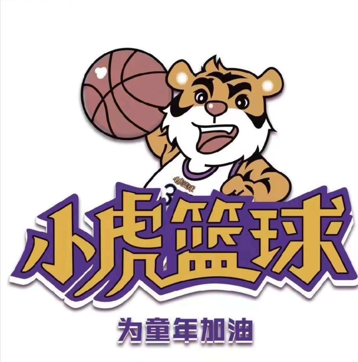 三江县小虎体育培训有限公司