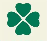 阜宁县虹艺艺术培训有限公司